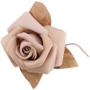 Meet your Posher, Angel